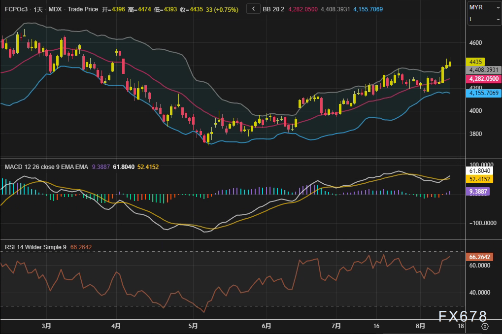 强势突破！棕榈油四连阳剑指4500，关税政策引爆油脂市场(2)